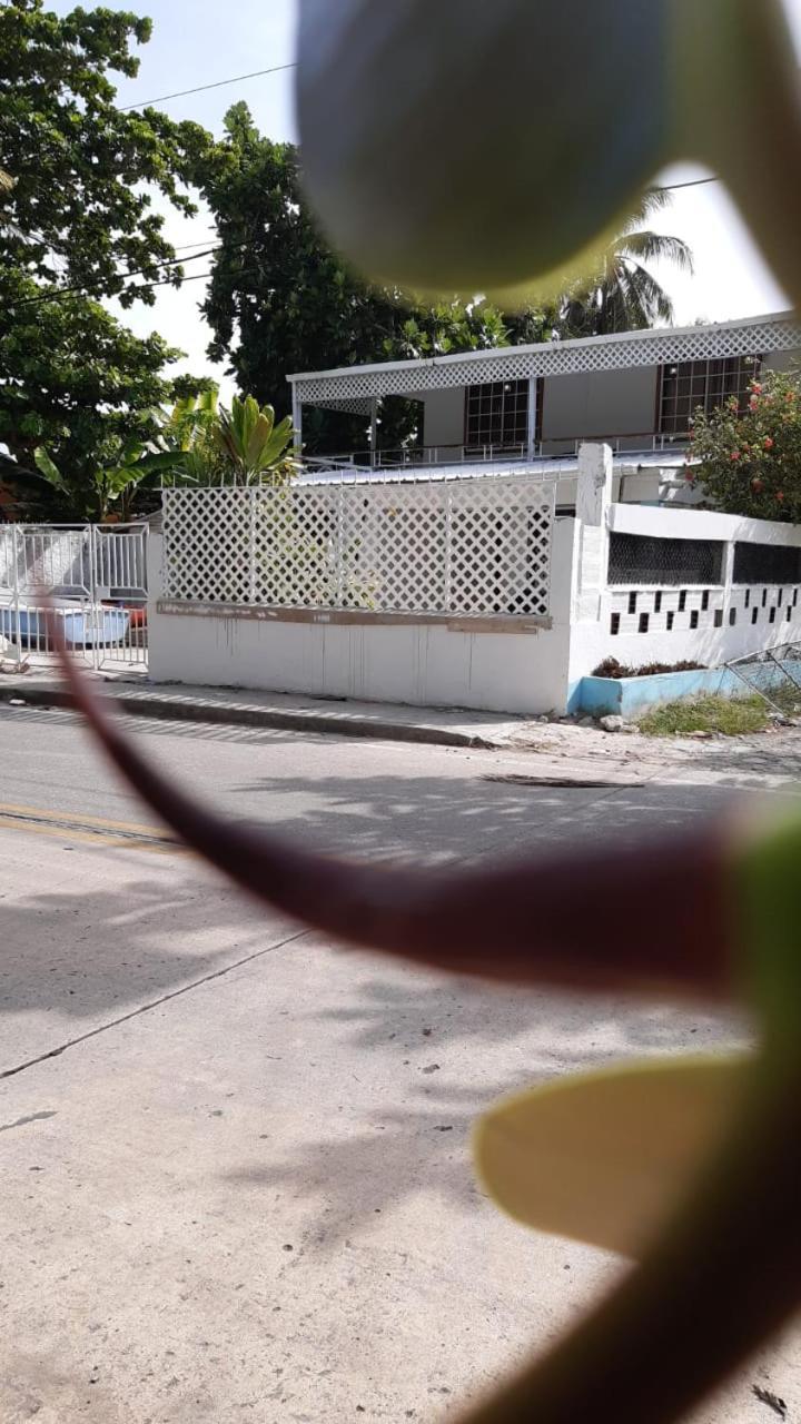 Joebi'S House Walking Distance To Rocky Cay Beach Ideal For Families Or Groups Buenavista  Экстерьер фото
